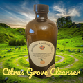 Citrus Grove Cleanser