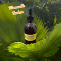 Memorable Tincture