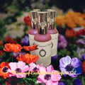 Mirror of Enchantment Perfume Oil