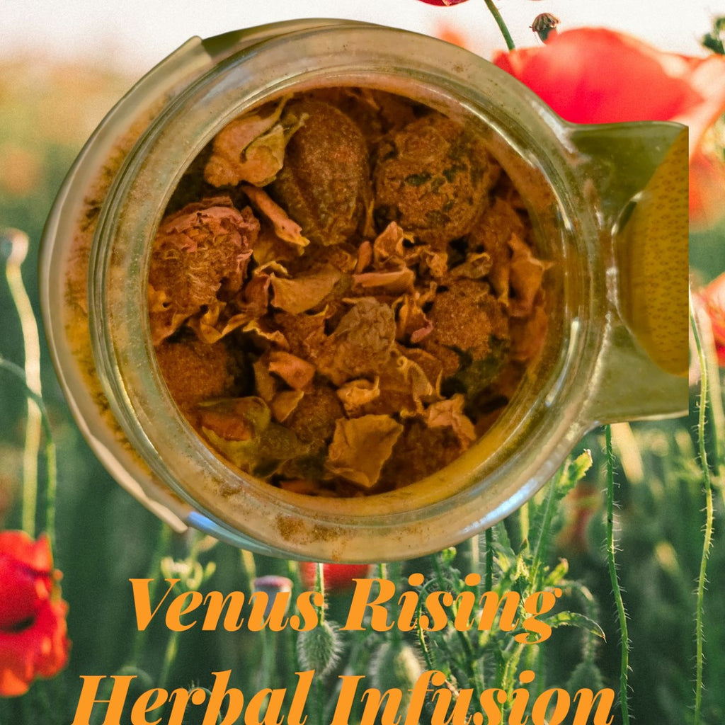 Venus Rising Herbal Infusion